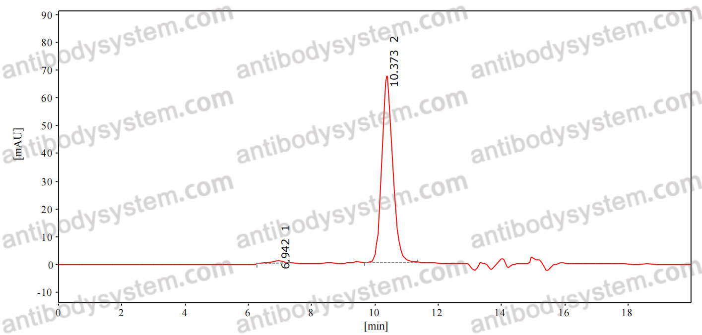 Research Grade Anti-Influenza A virus HA/Hemagglutinin Broad-Neutralizing Antibody (CR9114)